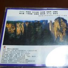 魅力張家界，山水傳天下——從第三屆中國-東盟博覽會看《暢游天下》的音像杰作